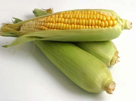 corn.jpg
