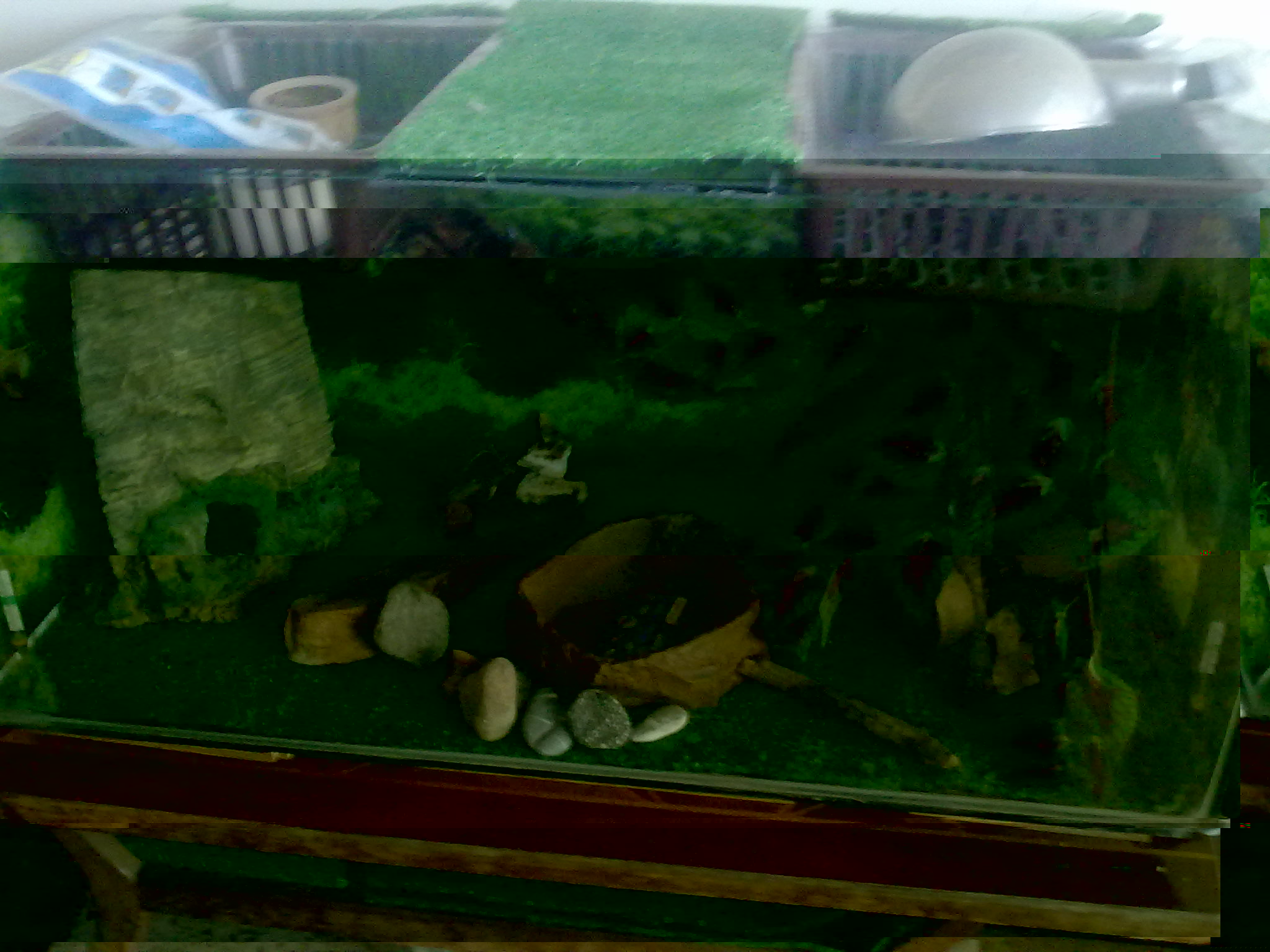 23032011423.jpg