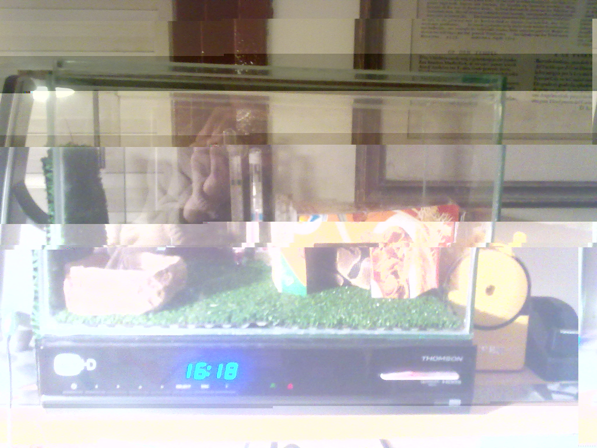 23032011424.jpg