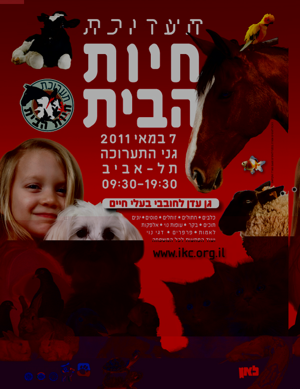 2011.jpg