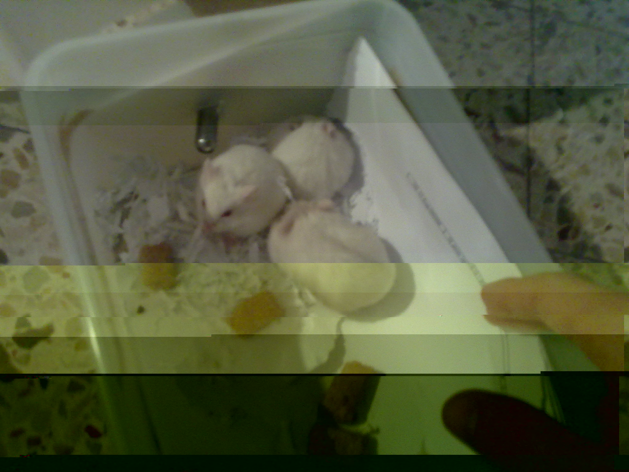 14042011468.jpg