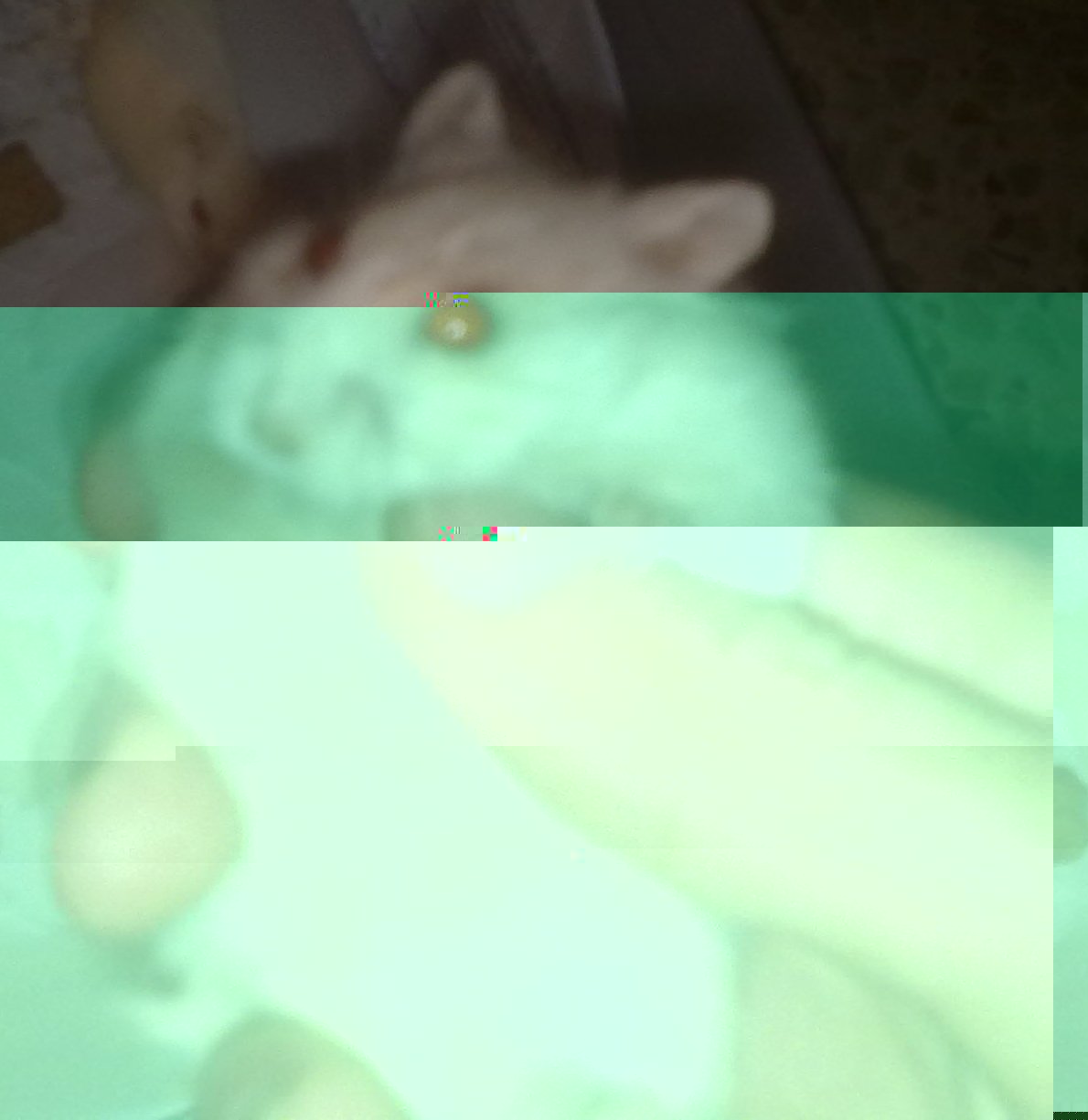 14042011472.jpg