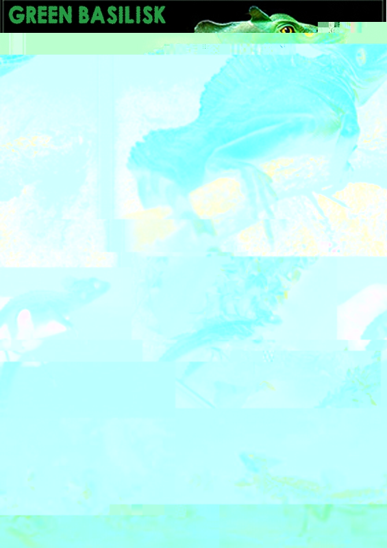 m_Untitled-1.jpg