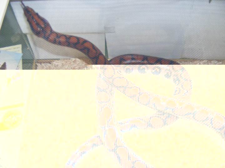 Resize of DSCF3299.JPG