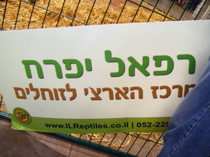 Resize of DSCF3254.JPG