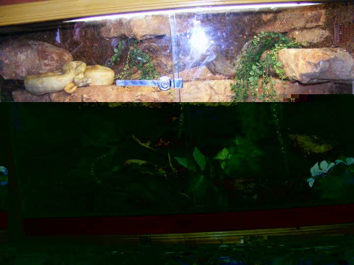 Resize of DSCF3300.JPG