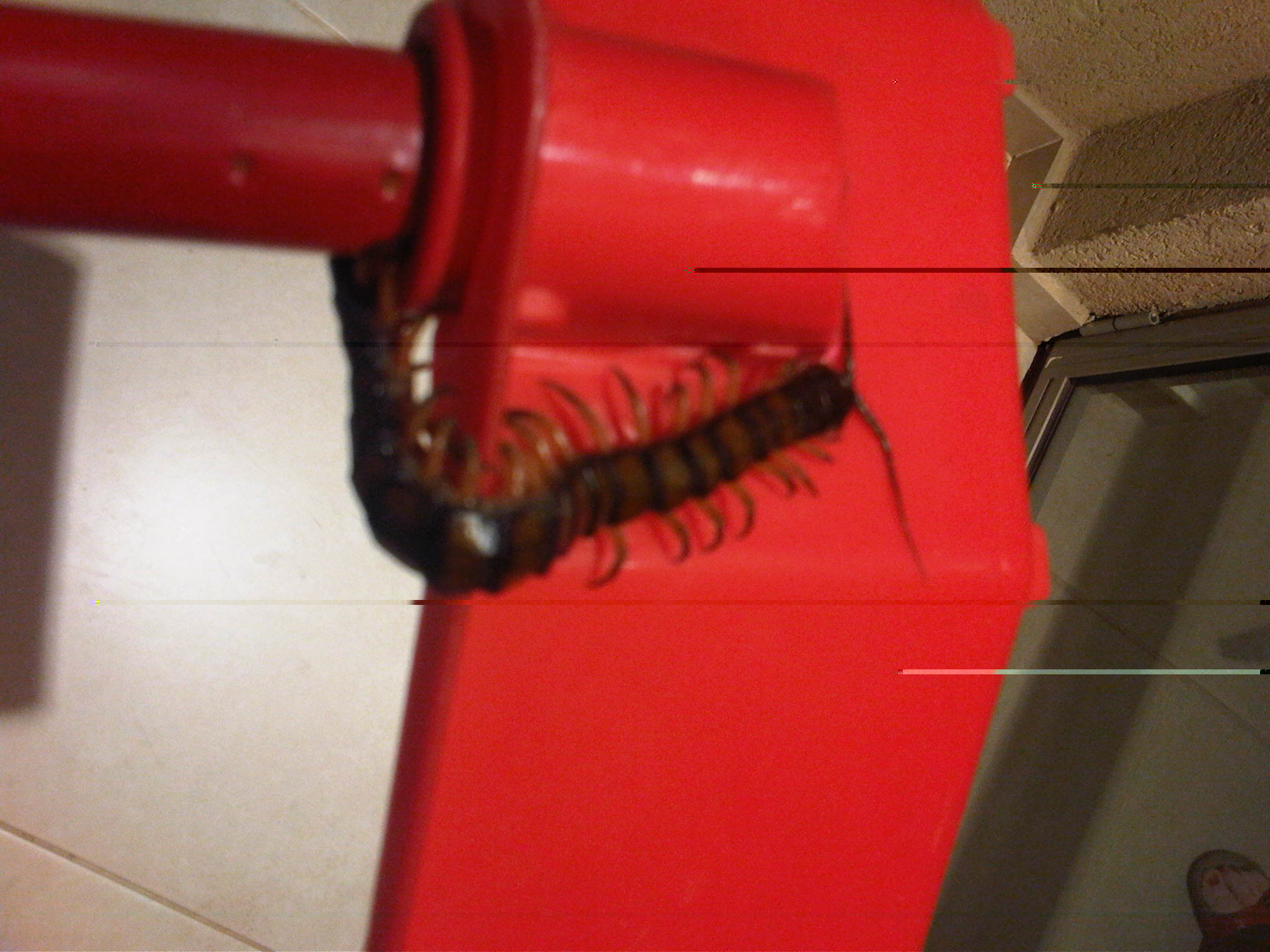 IMG-20110508-00091.jpg
