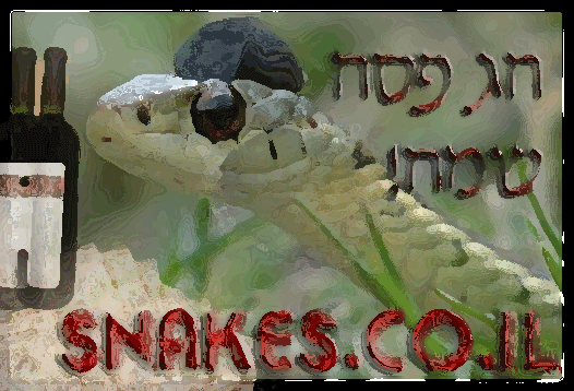 חכחכהה.gif
