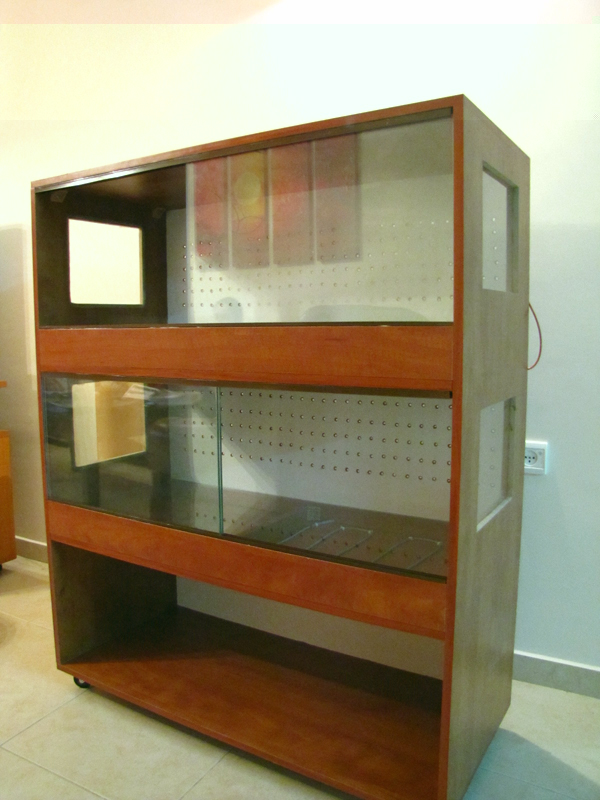 IMG_2260.jpg