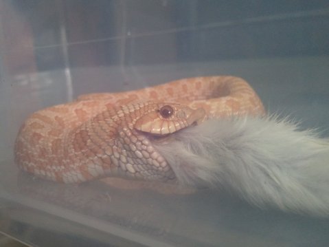 2011.05.27.15.23.09.jpg