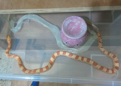 2011.05.26.21.33.57.jpg