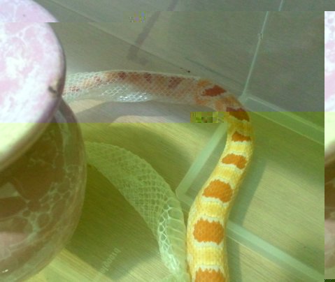 2011.05.26.21.32.46.jpg