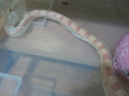 2011.05.26.21.28.44.jpg