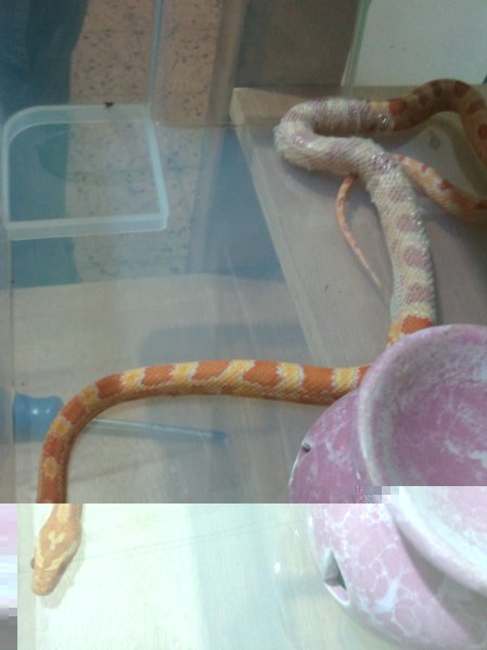 2011.05.26.21.27.57.jpg