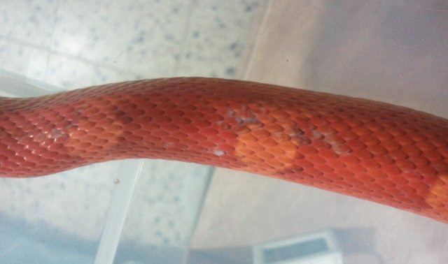 2011.06.22.06.15.32.jpg