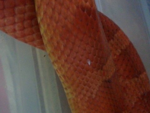 2011.06.22.06.16.51.jpg