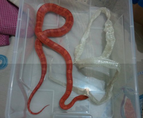 2011.06.22.06.22.18.jpg