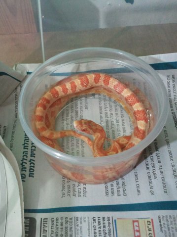 2011.06.07.10.27.13.jpg