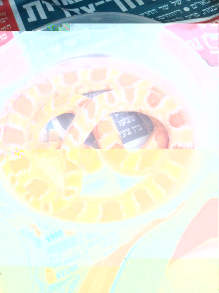 2011.06.22.11.28.25.jpg