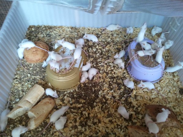2011.06.23.16.06.04.jpg