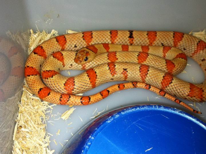 Resize of 084.JPG