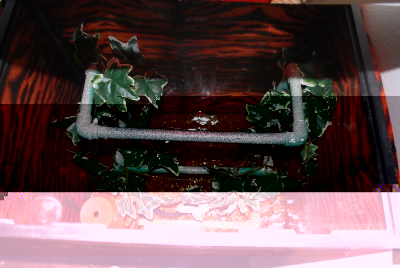 DSC_0139.jpg