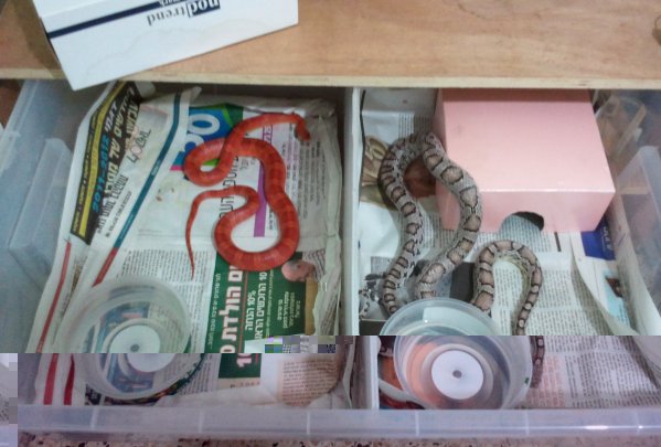 2011.07.12.01.11.26.jpg