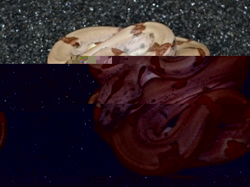 09.JPG