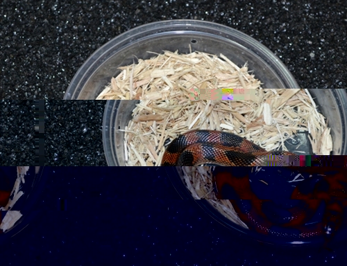 385.JPG