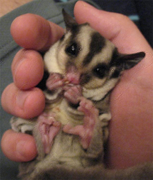 baby.jpg