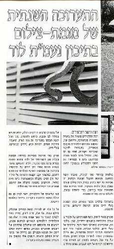 כתבה צילום מיקצועי.JPG