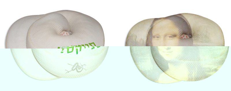 dscf2559.jpg