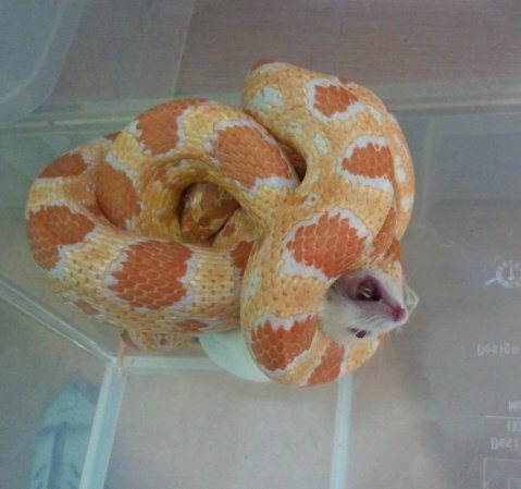 2011.10.05.15.49.14.jpg