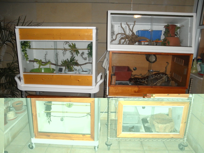 PB100373.JPG