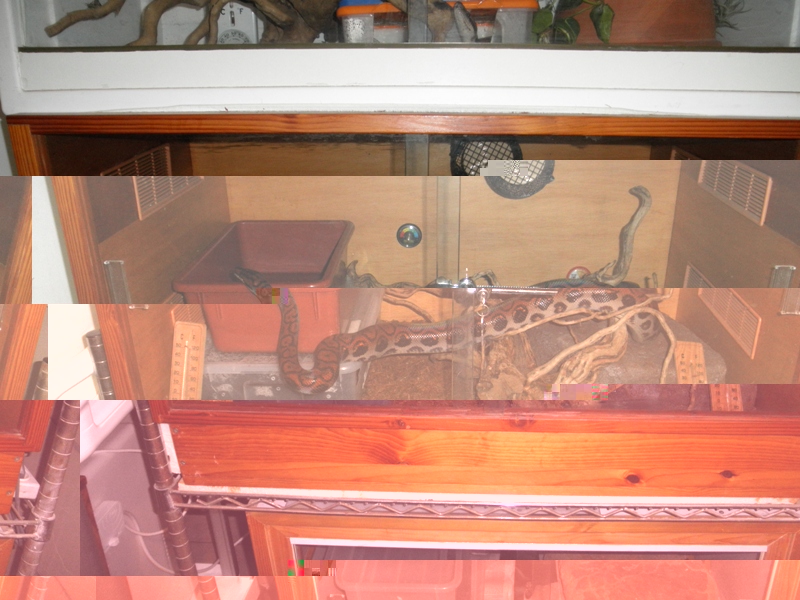 PB100376.JPG