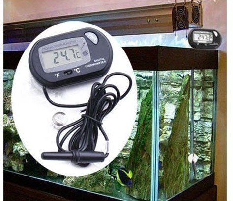 Digital-Thermometer.jpg