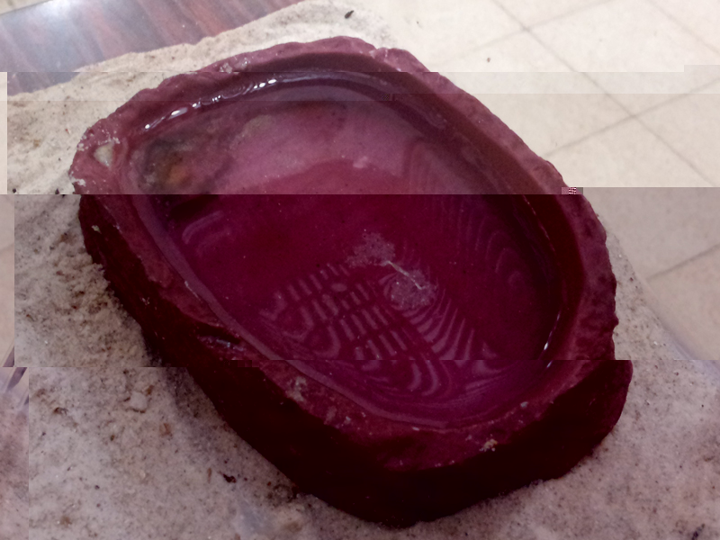 water-dish-small2.jpg