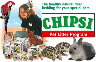 tite_chipsi.jpg