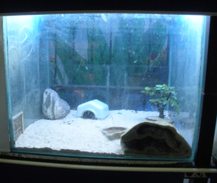 aquaterrariums 003.jpg