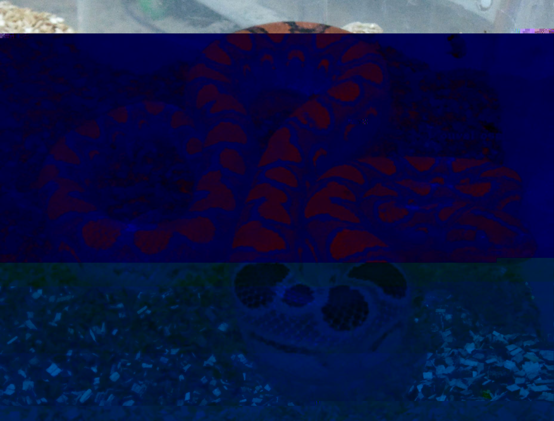 brb.jpg