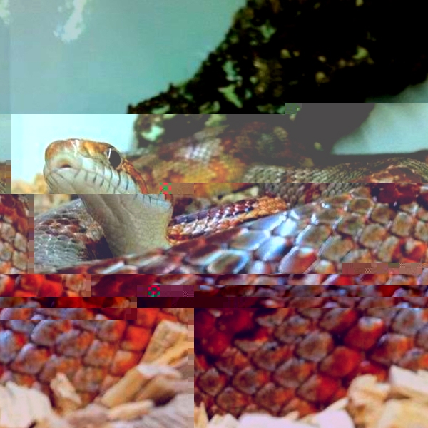 29203097553674469_UsqYiBNU_f.jpg