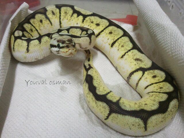 17.jpg