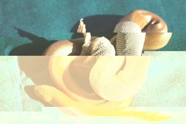 DSCN9795.JPG