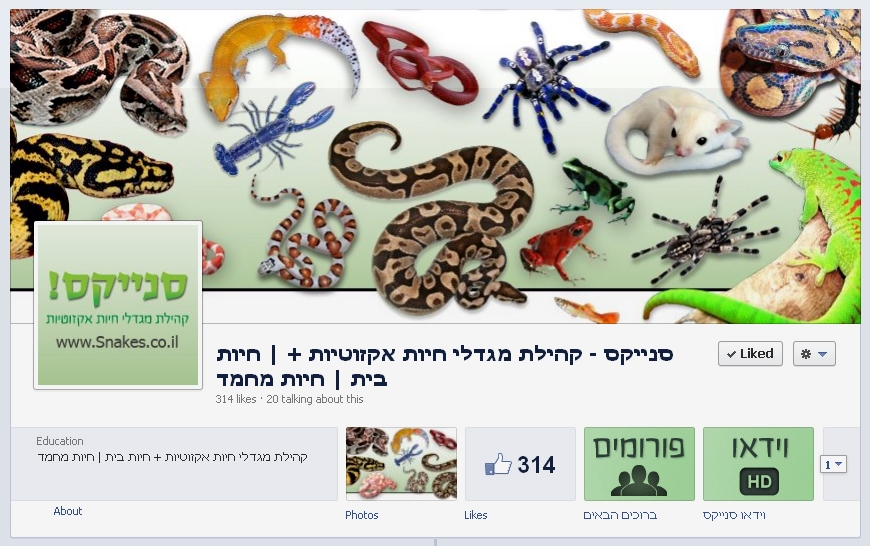 סנייקס-בפייסבוק.jpg