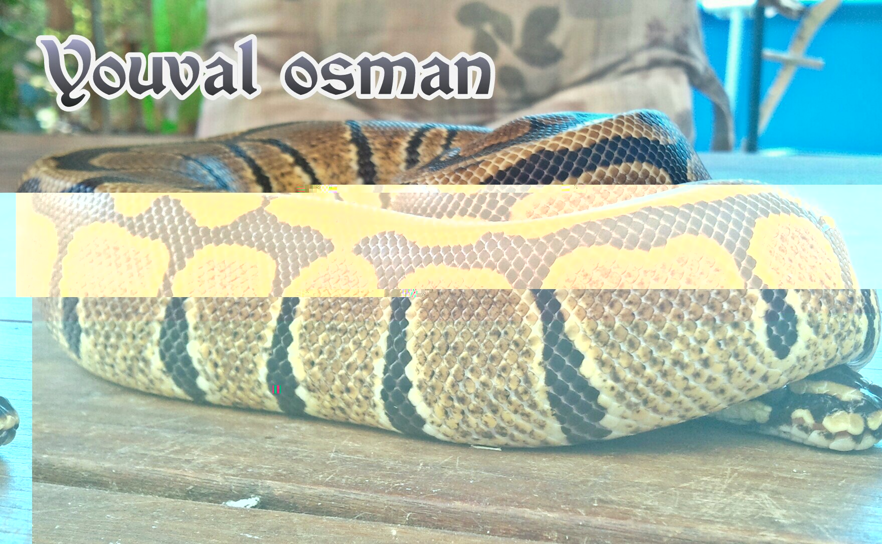 2012-07-24 13.13.23-picsay.jpg