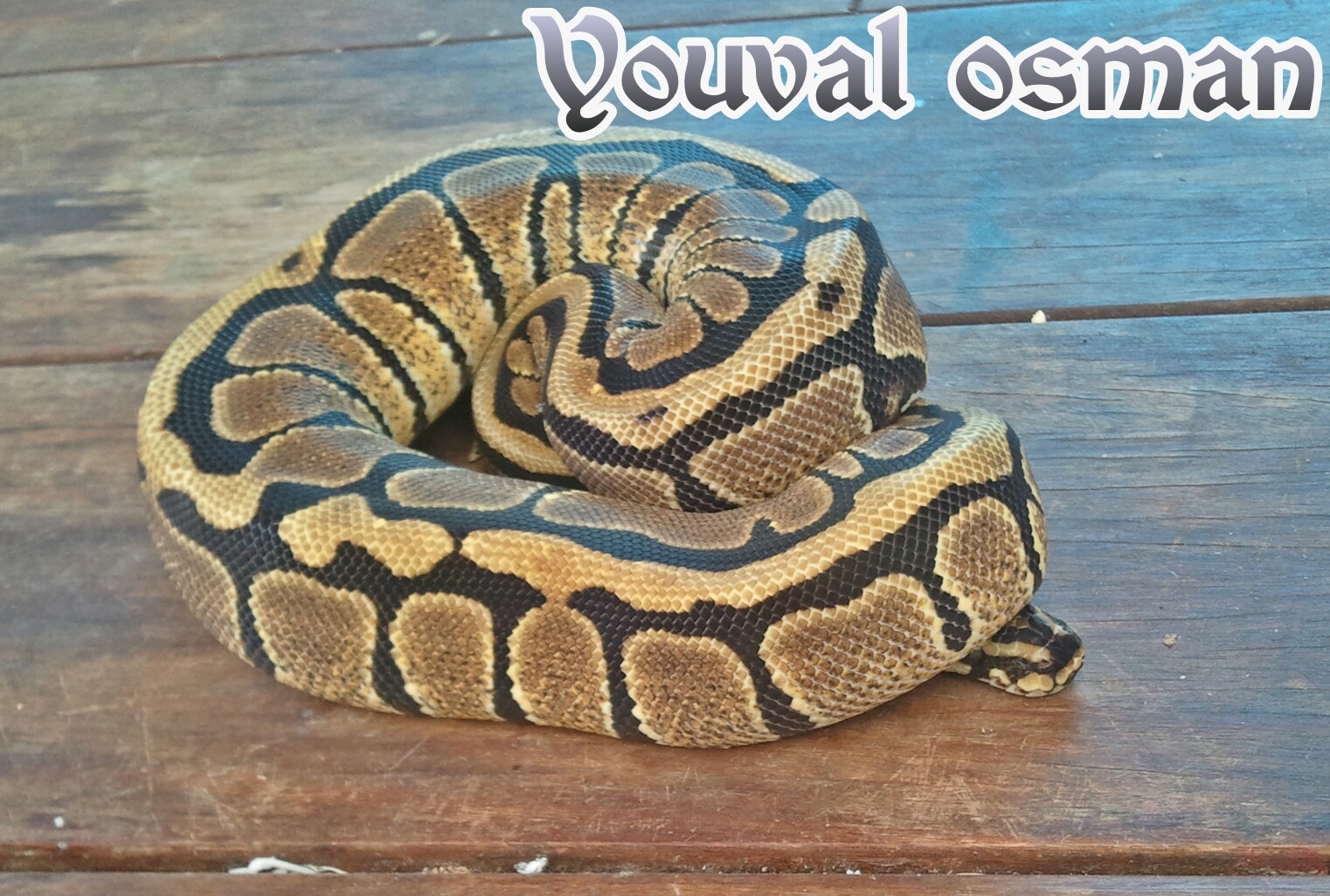 2012-07-24 13.13.09-picsay.jpg