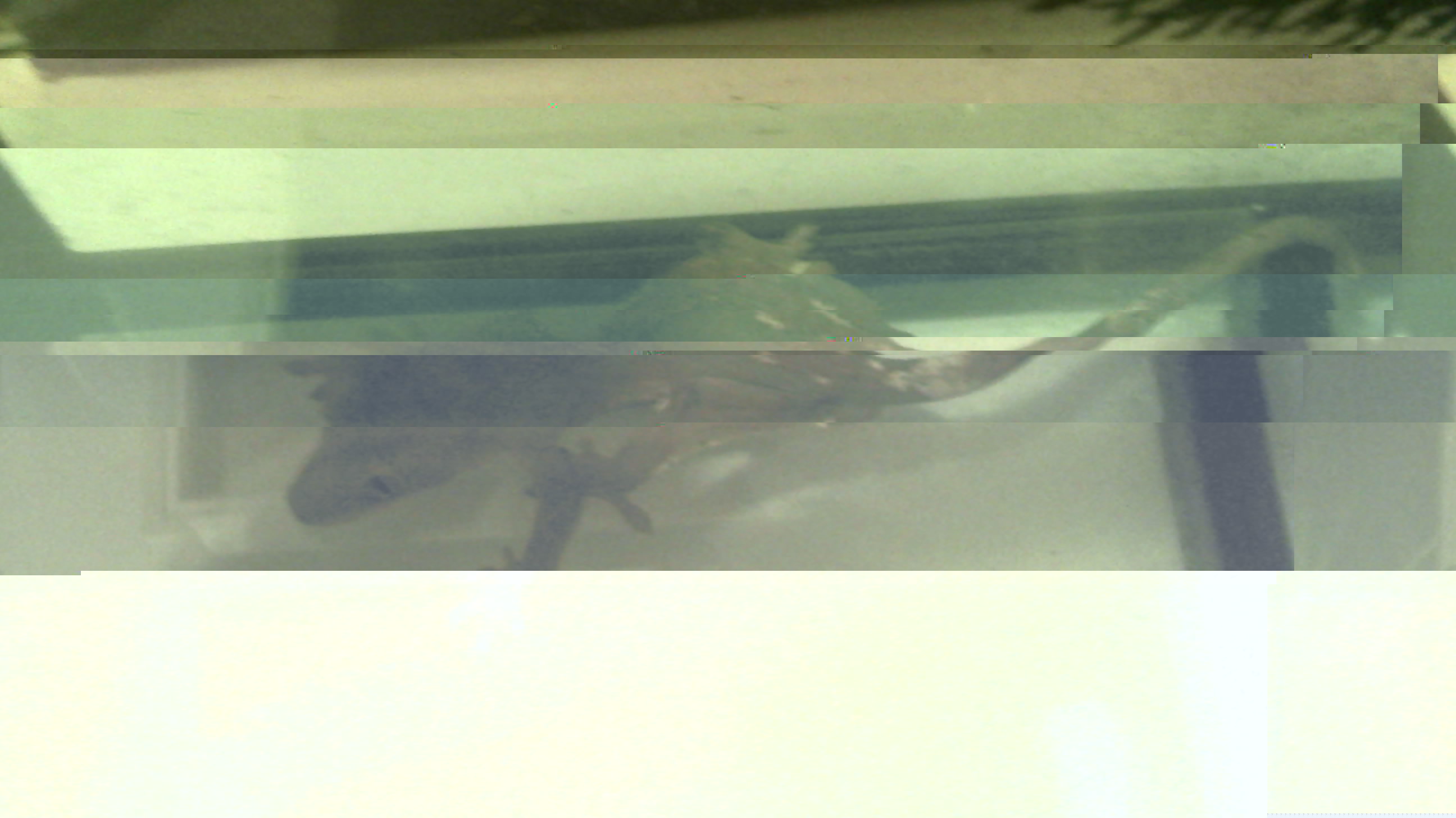2012-09-22_23-17-29_359.jpg