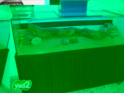 5_0_1_178694_20120901230944.jpg