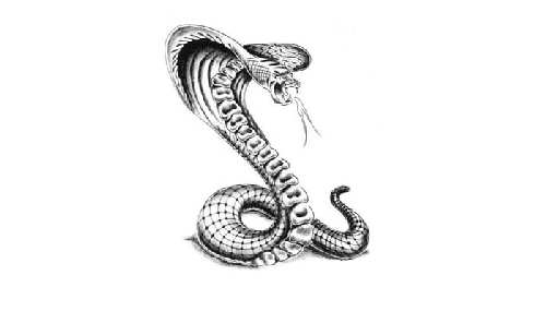 tatoo-reptiles-20.jpg