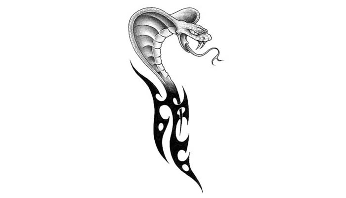 tatoo-reptiles-02.jpeg